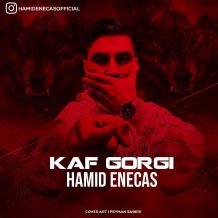 دانلود آهنگ جدید حمید انعکاس به نام کف گرگی